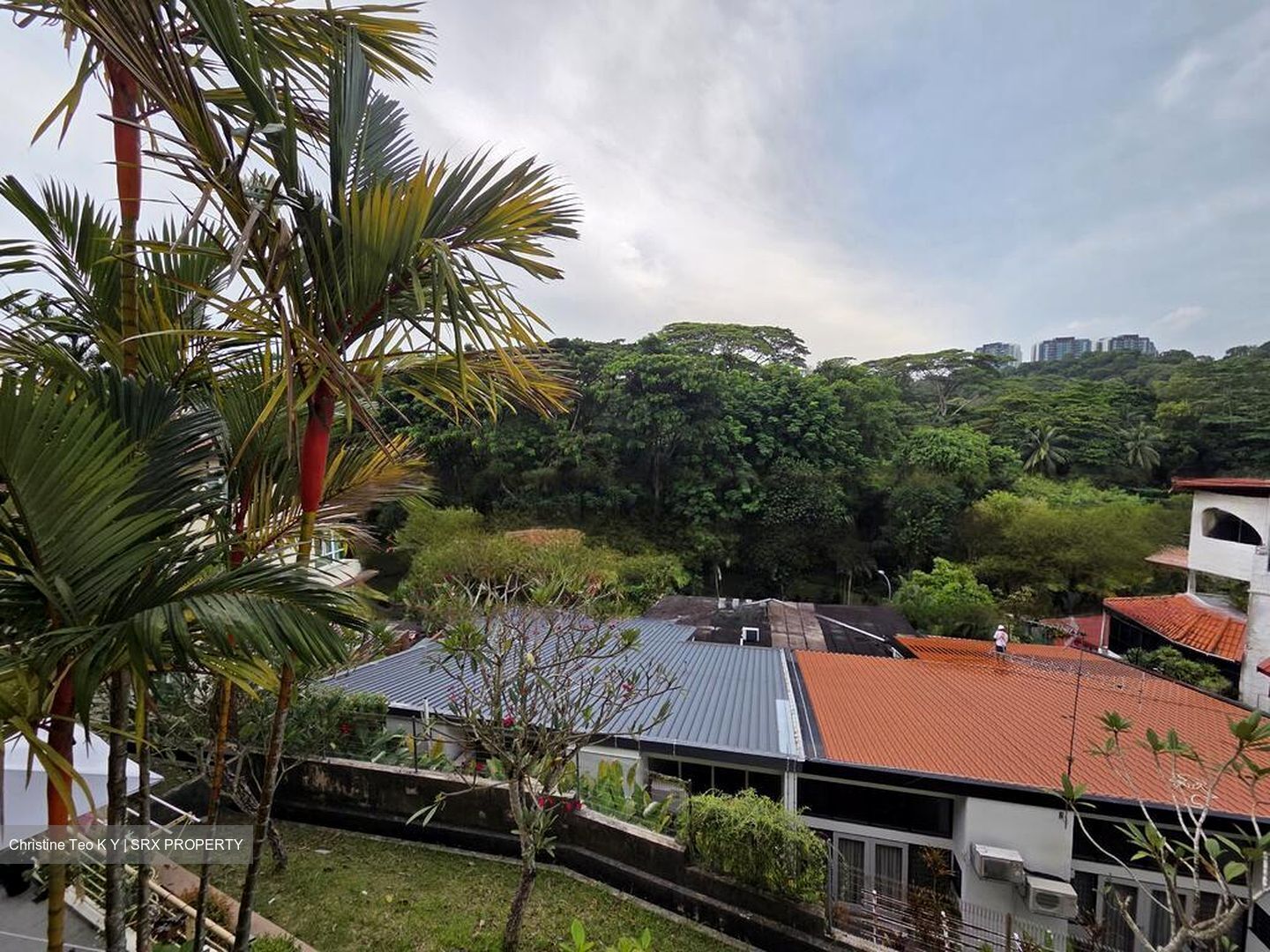 Le Hill Condominium (D5), Condominium #479662381